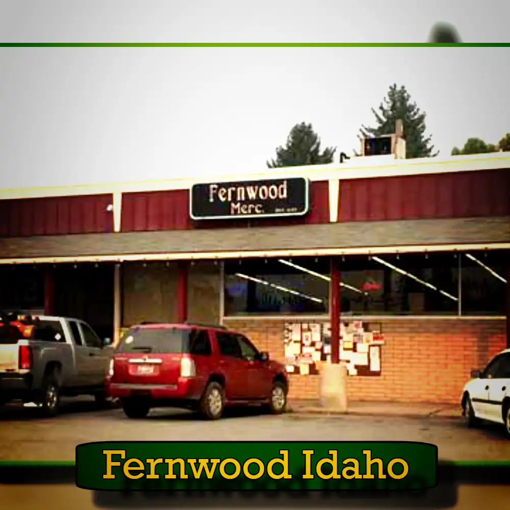 The image shows the exterior of Fernwood Merc, a local store in Fernwood, Idaho. Several vehicles are parked in front of the building, including a tow truck from a local tow service. The store sign is visible above the entrance.