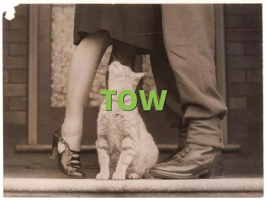 What Is The Full Form Of Tow In Slang?